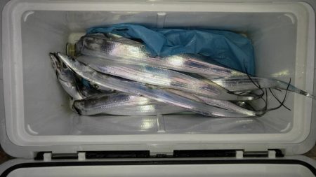 名田屋での洲本太刀魚釣り